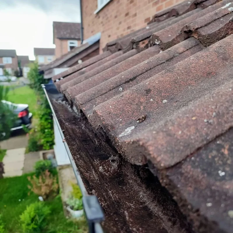 Gutter-Cleaning-Kirkby La Thorpe
